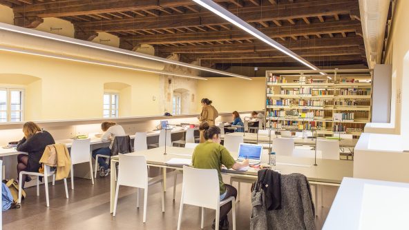 biblioteca 8
